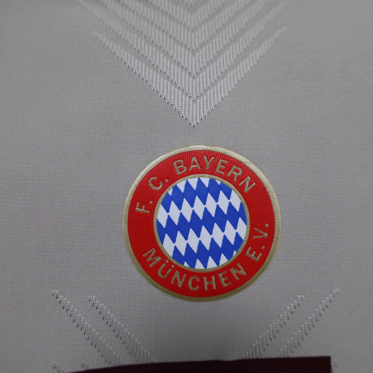 2024-25 Bayern Munich UCL Training Shirt